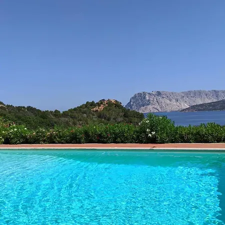 Punta Est - Bilo Giada Pool & 5 Min Mare קאפו קודה קבלו