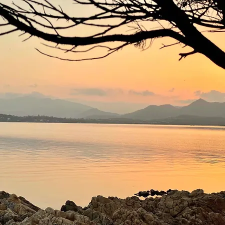Punta Est Giardino E Vista Mare