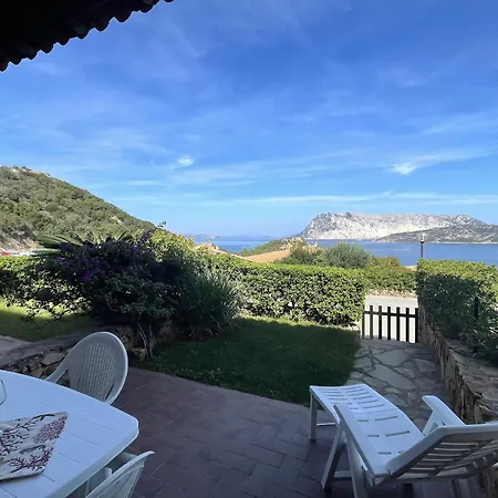 Punta Est Giardino E Vista Mare Cap Coda Cavallo