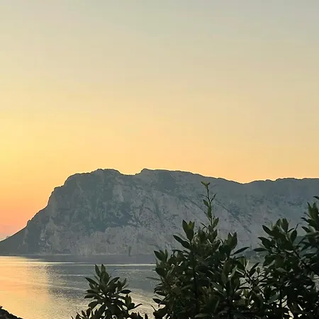 Punta Est Giardino E Vista Mare Appartement